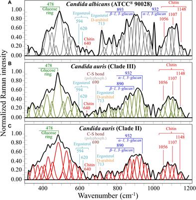 Raman Imaging of Pathogenic Candida auris: Visualization of Structural Characteristics and Machine-Learning Identification